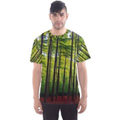 Green Forest Jungle Trees Nature Sunny Men s Sport Mesh Tee