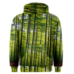 Green Forest Jungle Trees Nature Sunny Men s Core Hoodie