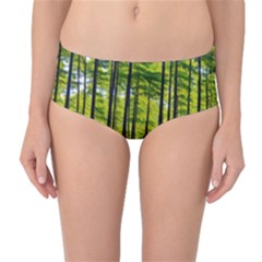 Green Forest Jungle Trees Nature Sunny Mid-waist Bikini Bottoms