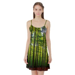 Green Forest Jungle Trees Nature Sunny Satin Night Slip by Ravend