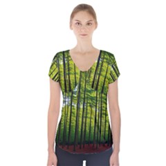 Green Forest Jungle Trees Nature Sunny Short Sleeve Front Detail Top