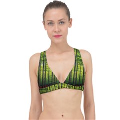 Green Forest Jungle Trees Nature Sunny Classic Banded Bikini Top by Ravend