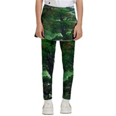 Jungle Forreast Landscape Nature Kids  Skirted Pants by Ravend