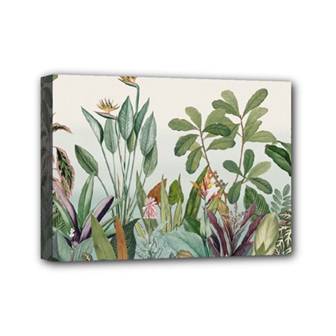 Tropical Jungle Plants Mini Canvas 7  X 5  (stretched)