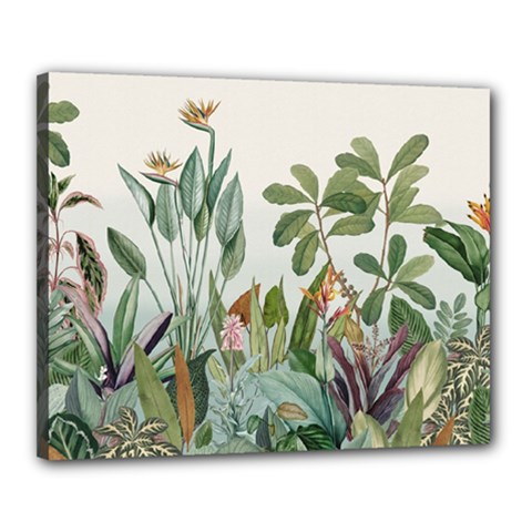 Tropical Jungle Plants Canvas 20  X 16  (stretched)