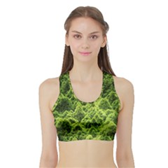 Green Pine Forest Sports Bra With Border