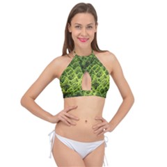 Green Pine Forest Cross Front Halter Bikini Top by Ravend