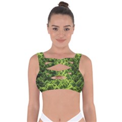 Green Pine Forest Bandaged Up Bikini Top