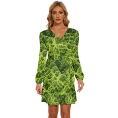 Green Pine Forest Long Sleeve Waist Tie Ruffle Velvet Dress