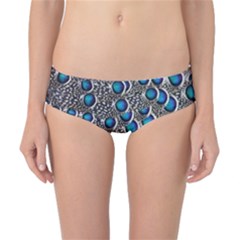 Peacock Pattern Close Up Plumage Classic Bikini Bottoms by Celenk