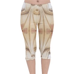 Wells Cathedral Well Cathedral Velvet Capri Leggings 