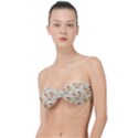 Background Pattern Flower Spring Classic Bandeau Bikini Top  View1