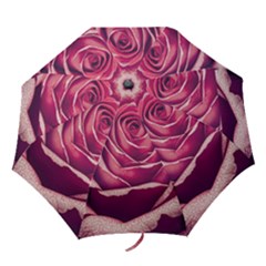 Beautiful Beauty Flower Bloom Folding Umbrellas