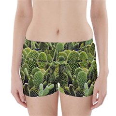 Cactus Flora Flower Nature Floral Boyleg Bikini Wrap Bottoms by Vaneshop