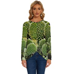Cactus Flora Flower Nature Floral Long Sleeve Crew Neck Pullover Top by Vaneshop