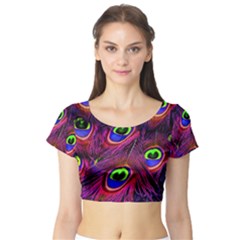 Peacock Feathers Color Plumage Short Sleeve Crop Top by Celenk