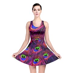 Peacock Feathers Color Plumage Reversible Skater Dress by Celenk