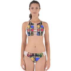 Acrylic Painting  Perfectly Cut Out Bikini Set by Rbudhiya