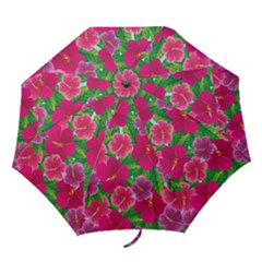Background-cute-flowers-fuchsia-with-leaves Folding Umbrellas