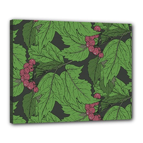 Seamless-pattern-with-hand-drawn-guelder-rose-branches Canvas 20  X 16  (stretched) by uniart180623