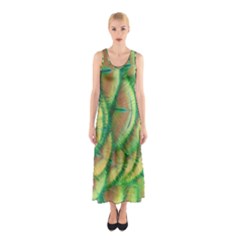 Beautiful-peacock Sleeveless Maxi Dress