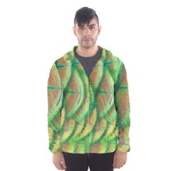 Beautiful-peacock Men s Hooded Windbreaker