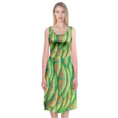 Beautiful-peacock Midi Sleeveless Dress