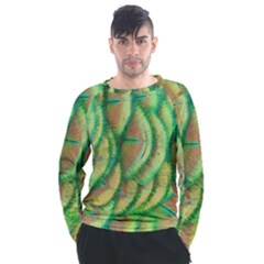 Beautiful-peacock Men s Long Sleeve Raglan Tee