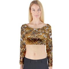 Honey Bee Bees Insect Long Sleeve Crop Top by Ravend