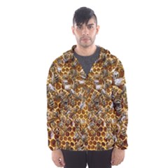 Honey Bee Bees Insect Men s Hooded Windbreaker