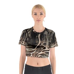 Tree Nature Landscape Forest Cotton Crop Top