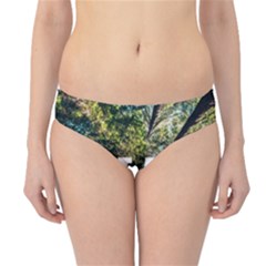 Stay Focused Focus Success Inspiration Motivational Hipster Bikini Bottoms