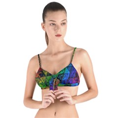 Pride Glass Tie Up Cut Bikini Top by MRNStudios