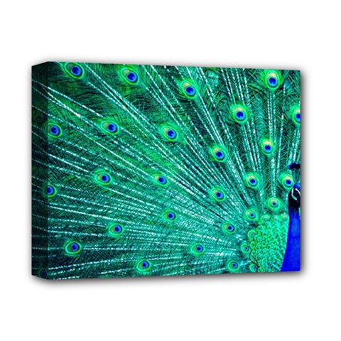 Green And Blue Peafowl Peacock Animal Color Brightly Colored Deluxe Canvas 14  x 11  (Stretched)