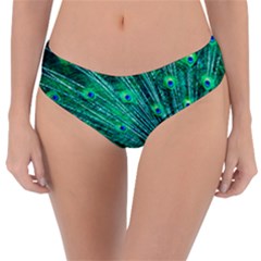 Green And Blue Peafowl Peacock Animal Color Brightly Colored Reversible Classic Bikini Bottoms