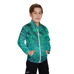 Green And Blue Peafowl Peacock Animal Color Brightly Colored Kids  Windbreaker
