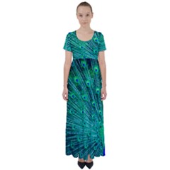 Green And Blue Peafowl Peacock Animal Color Brightly Colored High Waist Short Sleeve Maxi Dress