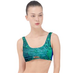 Green And Blue Peafowl Peacock Animal Color Brightly Colored The Little Details Bikini Top