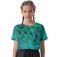 Green And Blue Peafowl Peacock Animal Color Brightly Colored Kids  Basic Tee