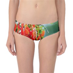 Gathering Sping Flowers Wallpapers Classic Bikini Bottoms by artworkshop