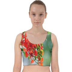 Gathering Sping Flowers Wallpapers Velvet Racer Back Crop Top by artworkshop