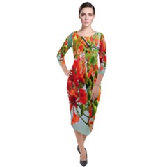 Gathering Sping Flowers Wallpapers Quarter Sleeve Midi Velour Bodycon Dress