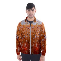 Late Afternoon Men s Windbreaker