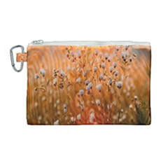 Late Afternoon Canvas Cosmetic Bag (large)