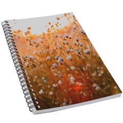 Late Afternoon 5 5  X 8 5  Notebook by artworkshop