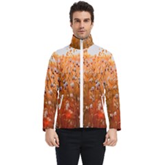Late Afternoon Men s Bomber Jacket