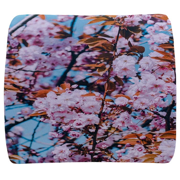 Nature Beautiful Rainbow Back Support Cushion