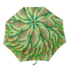 Beautiful Peacock Folding Umbrellas