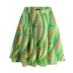 Beautiful Peacock High Waist Skirt