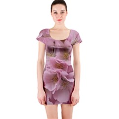 Cherry-blossoms Short Sleeve Bodycon Dress by Excel